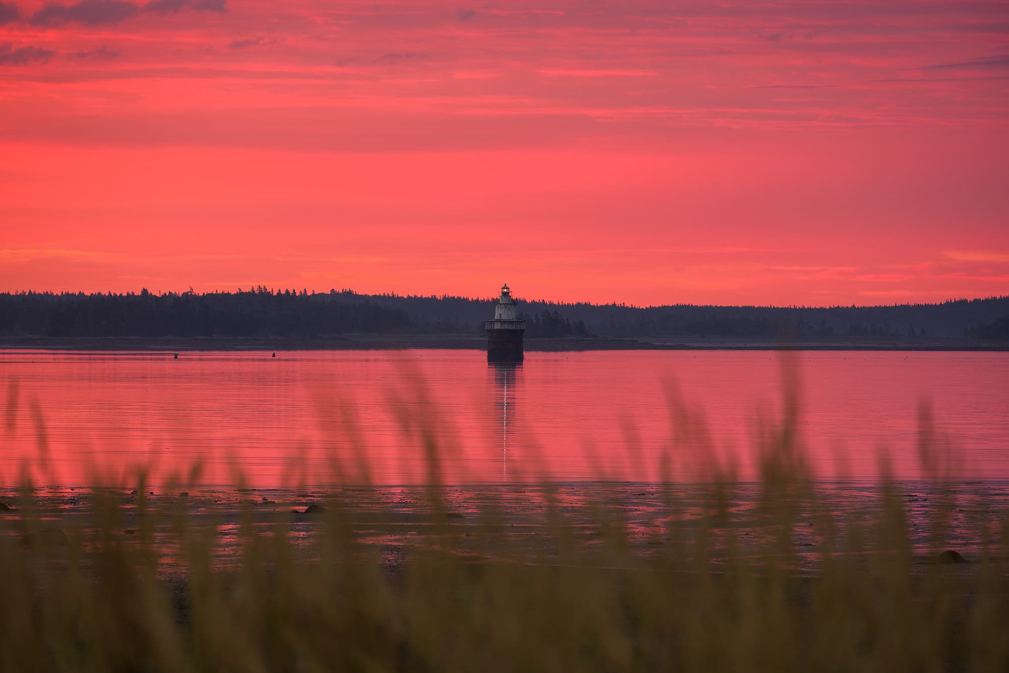 Spark Plug Sunrise