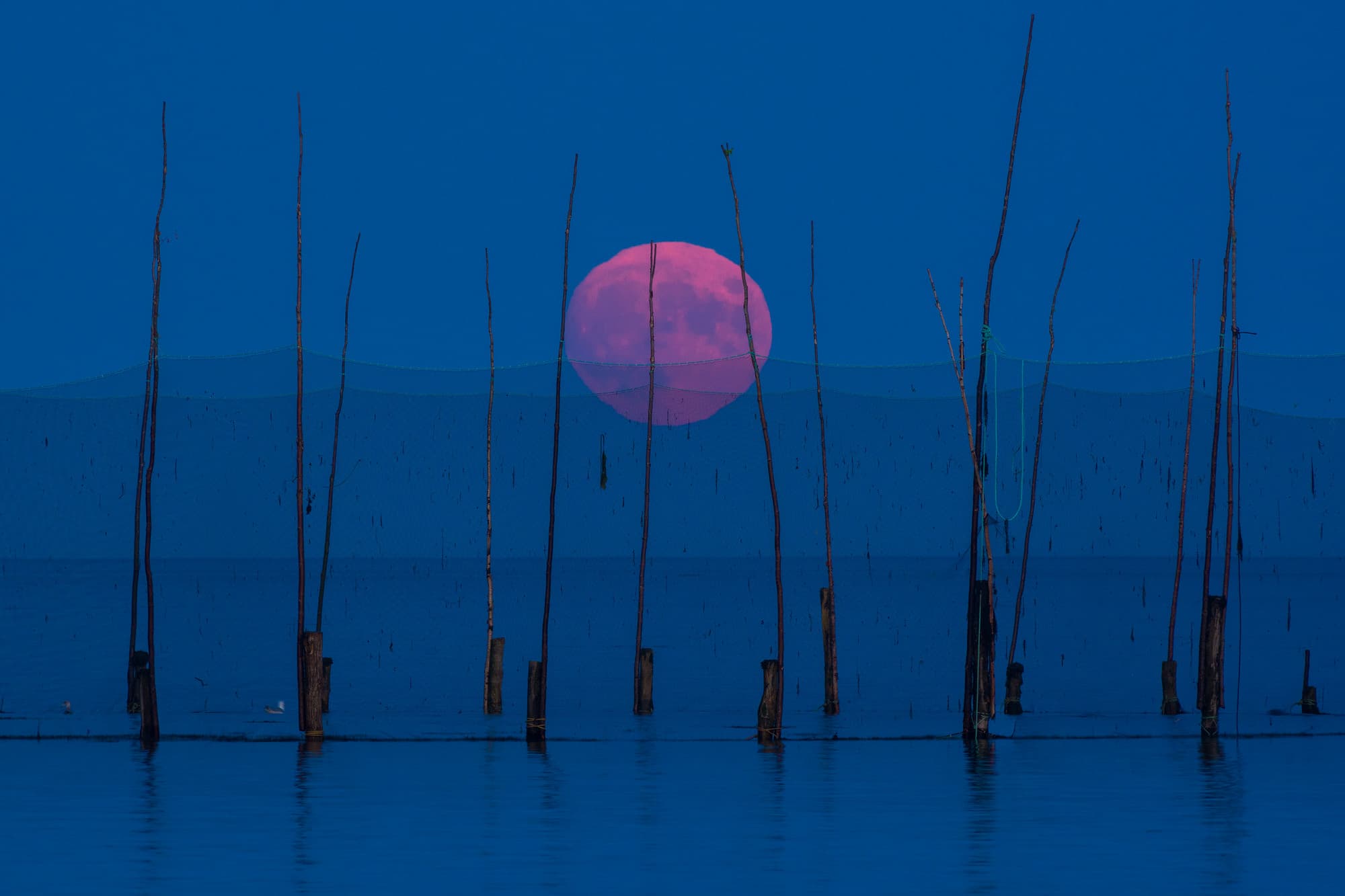 Harvest Moon Over Weir