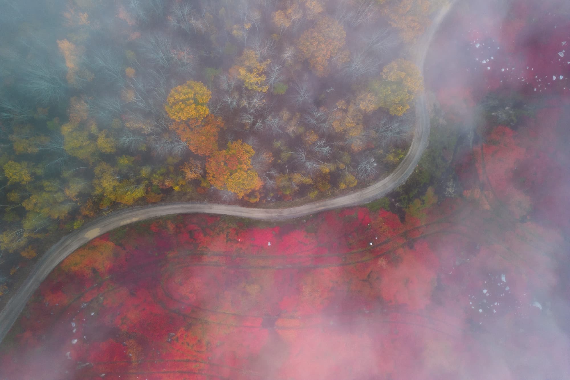 Edge of the Barrens