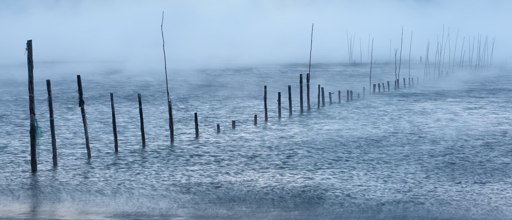 Fish Weir in Sea Smoke