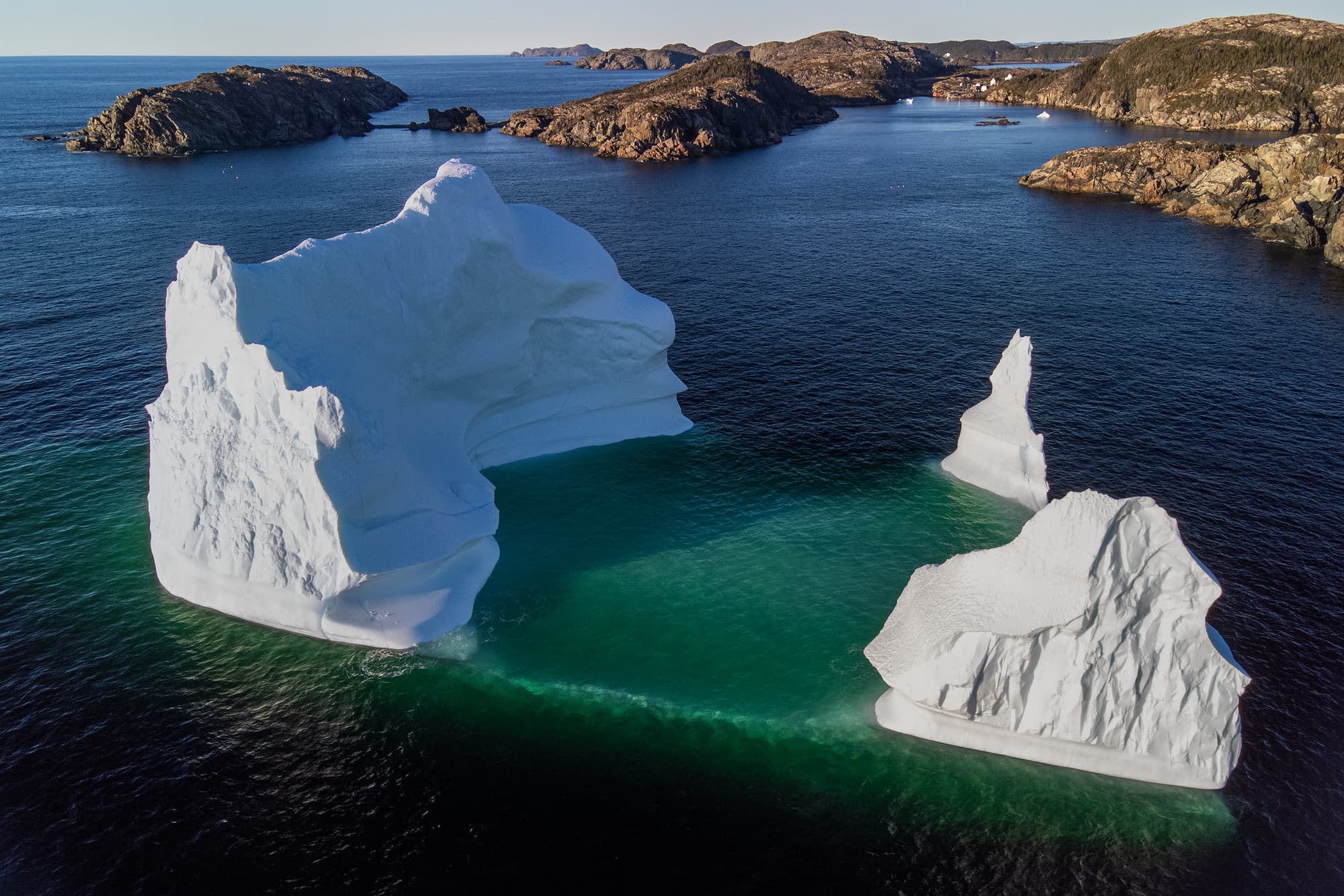 Iceberg in Merritt's Harbour