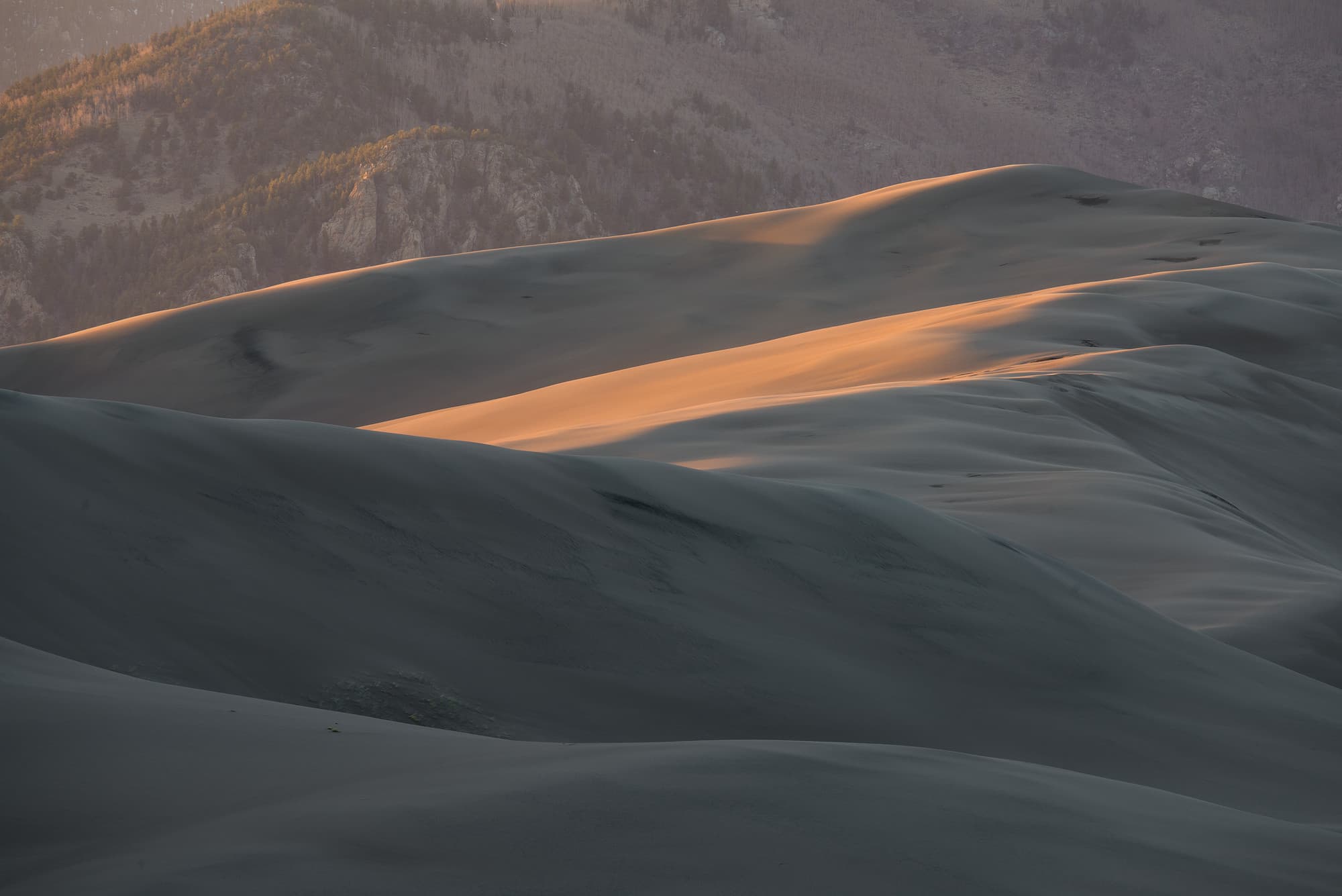 Evening at Great Sand Dunes #2