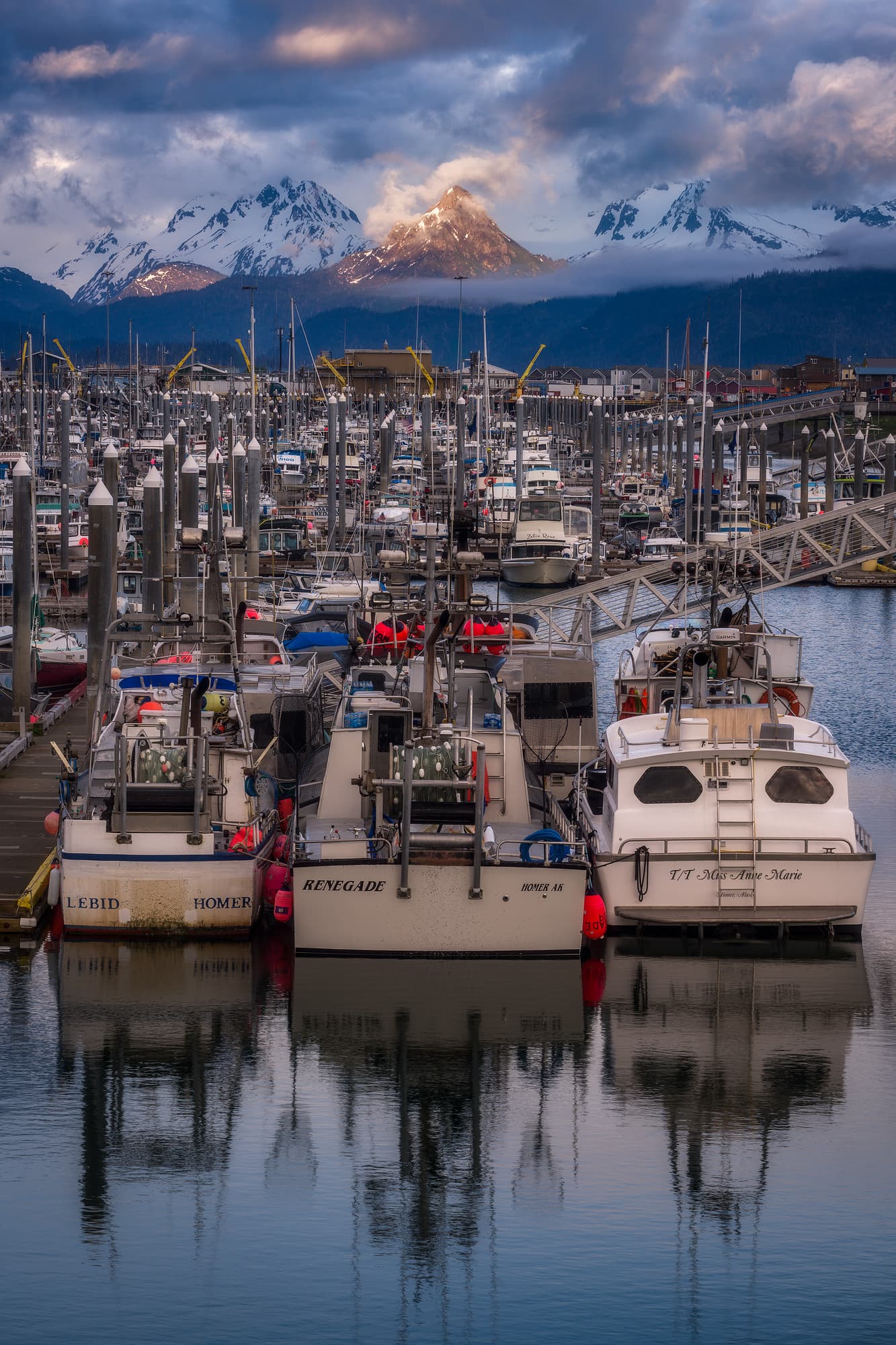 China Poot Peak Over Homer Harbor