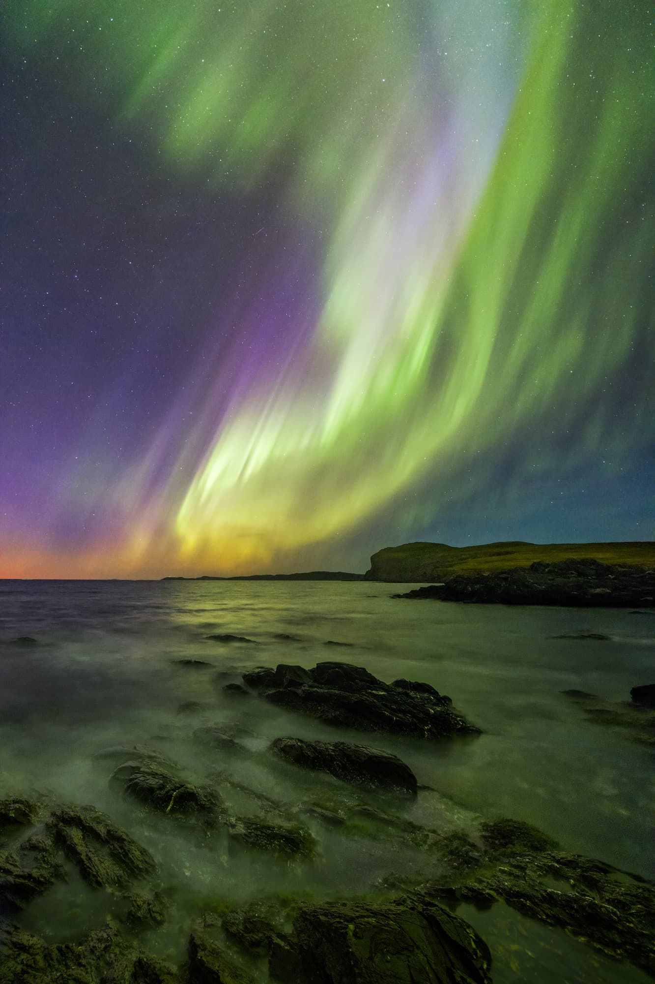 Hay Cove Aurora