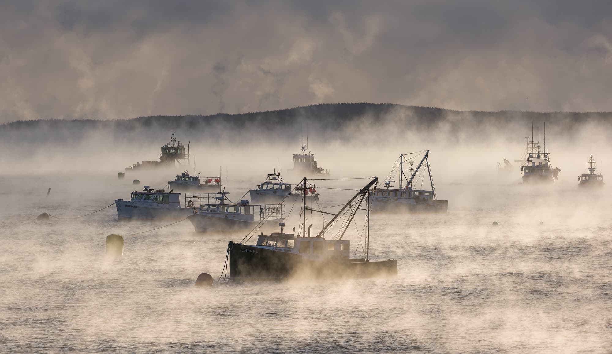 Sea Smoke in Bucks Harbor