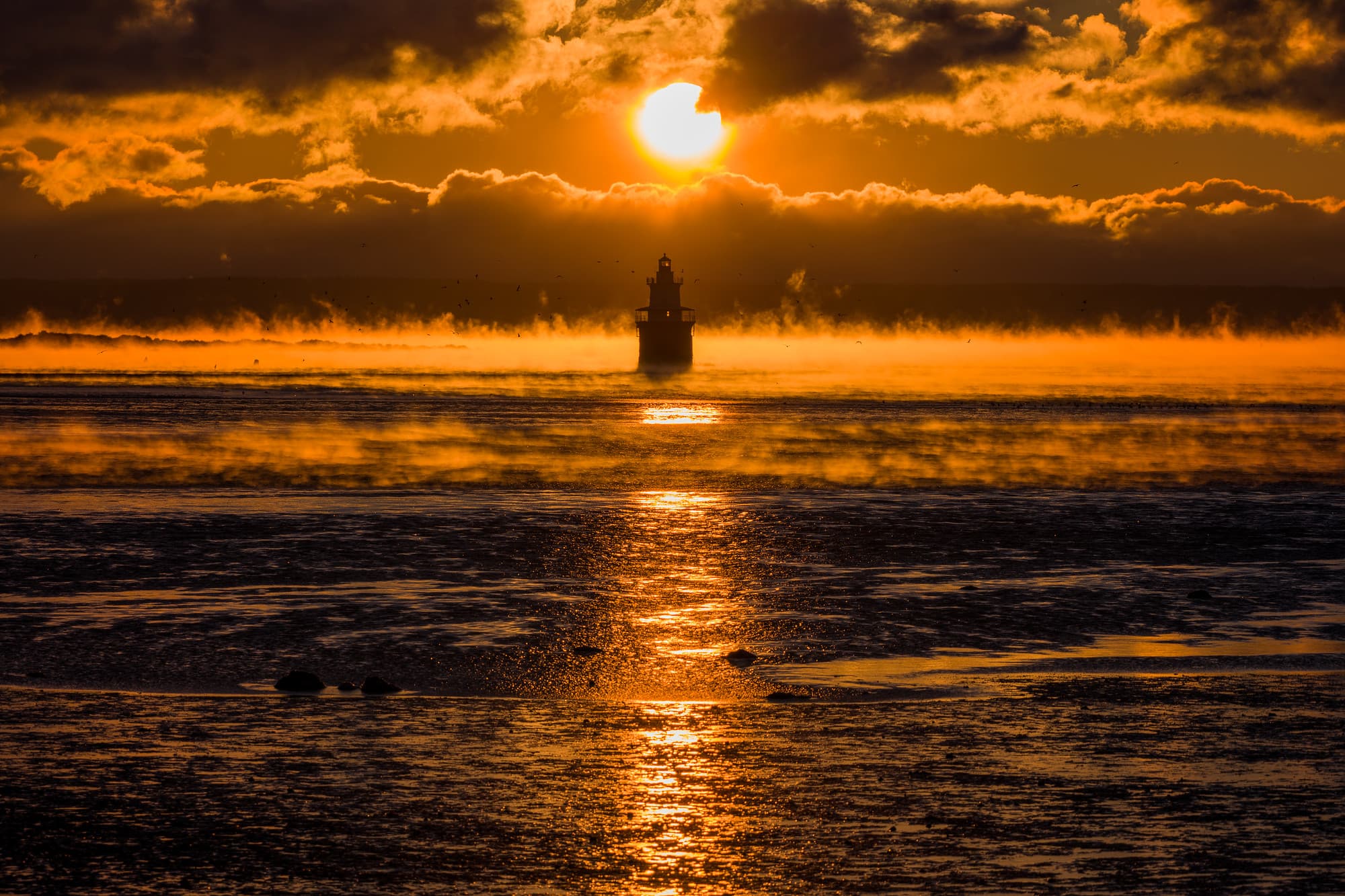 Spark Plug Seasmoke Sunrise