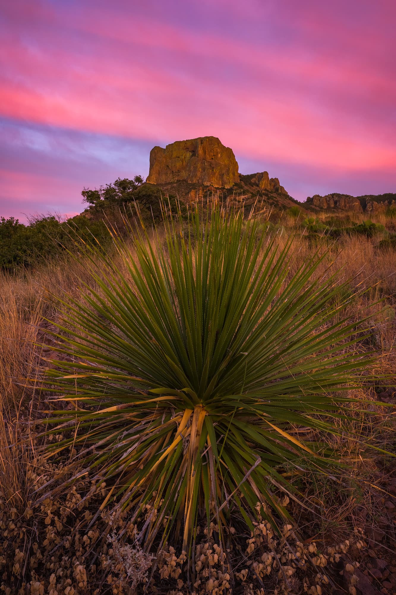 Casa Grande Sunset