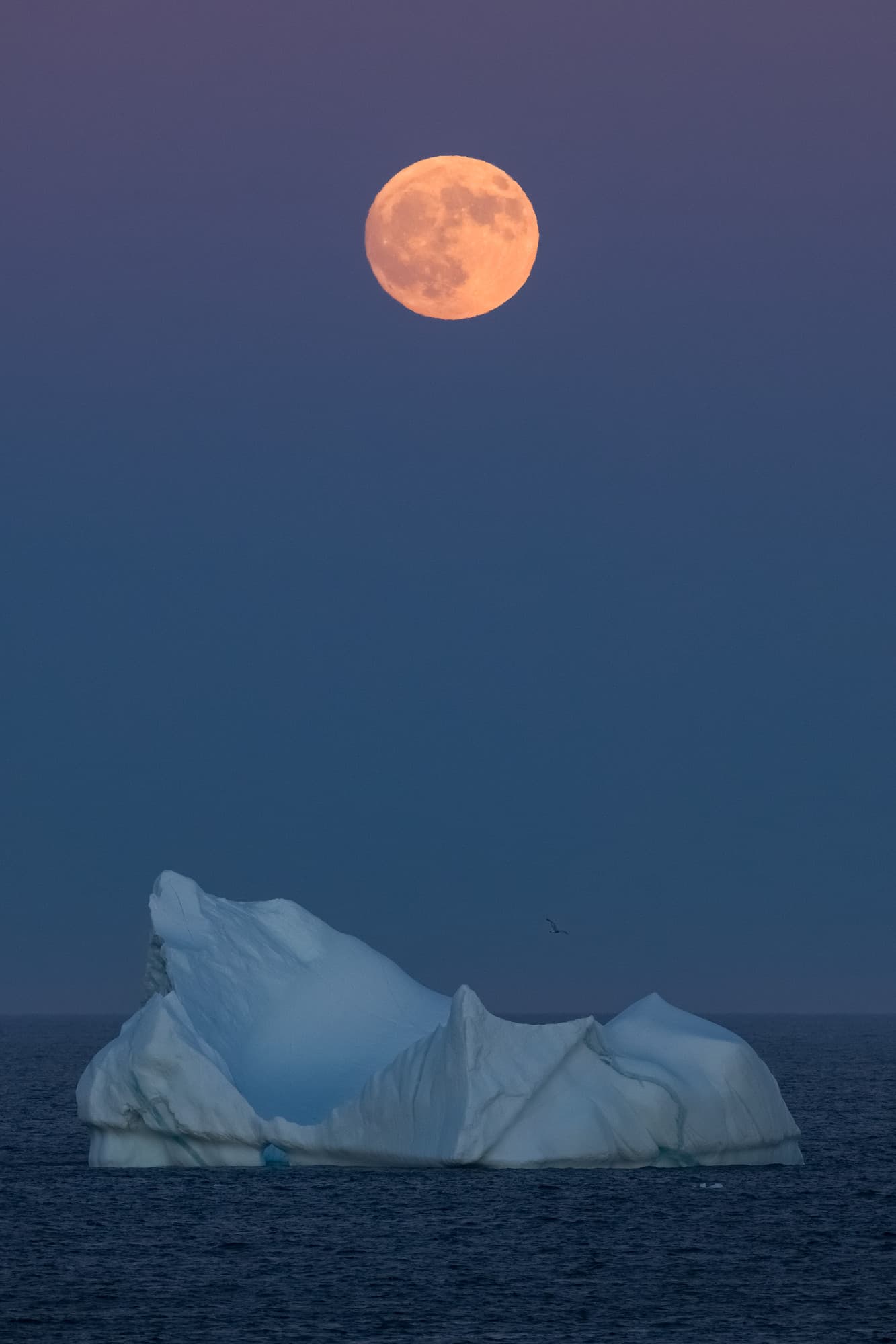 Moonberg II