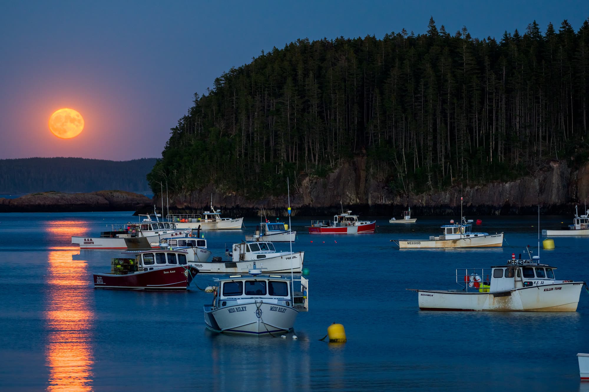 Full Moon Rising Over Bucks Harbor