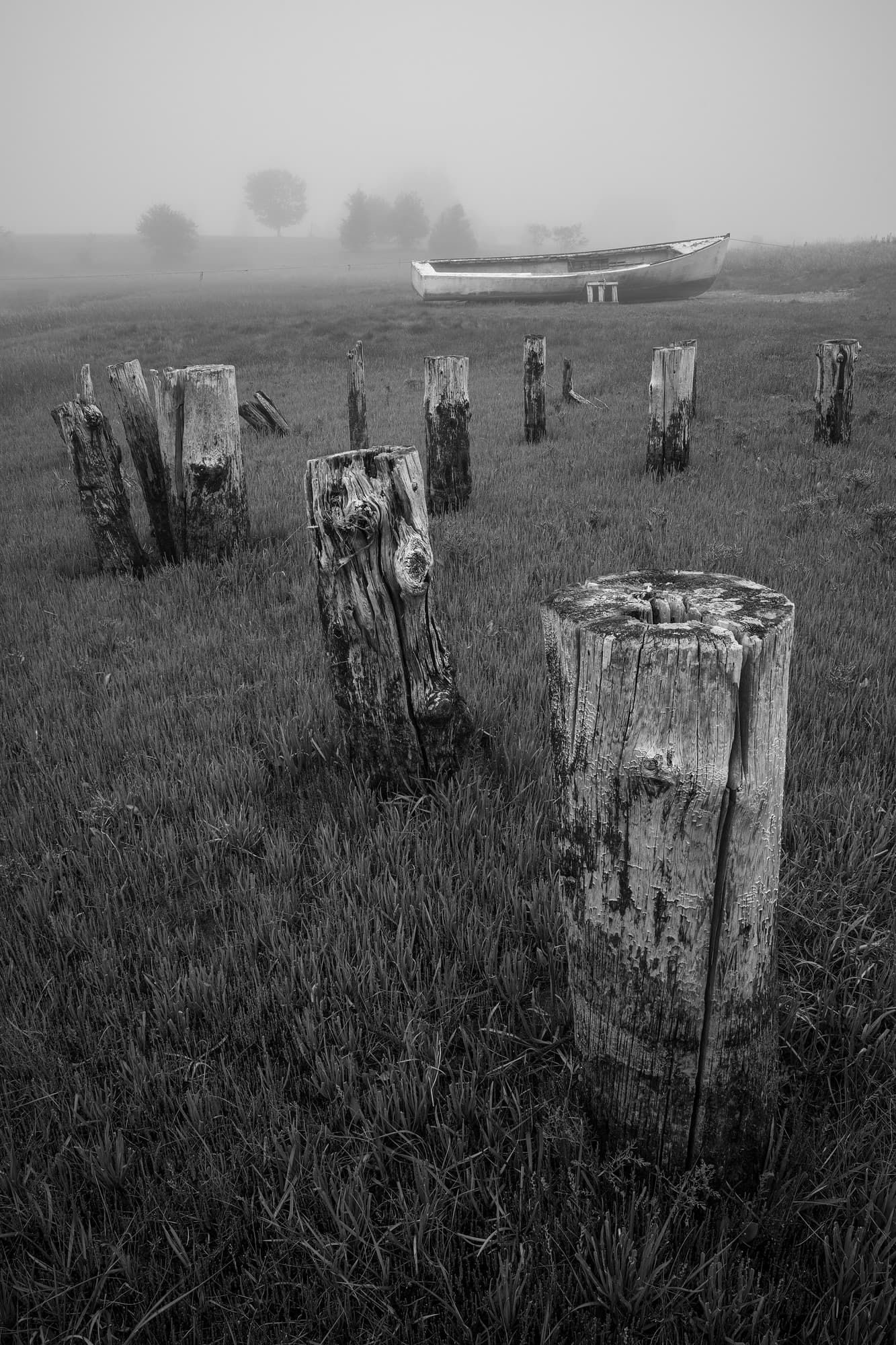 Old Pilings and Boat Hull in Fog