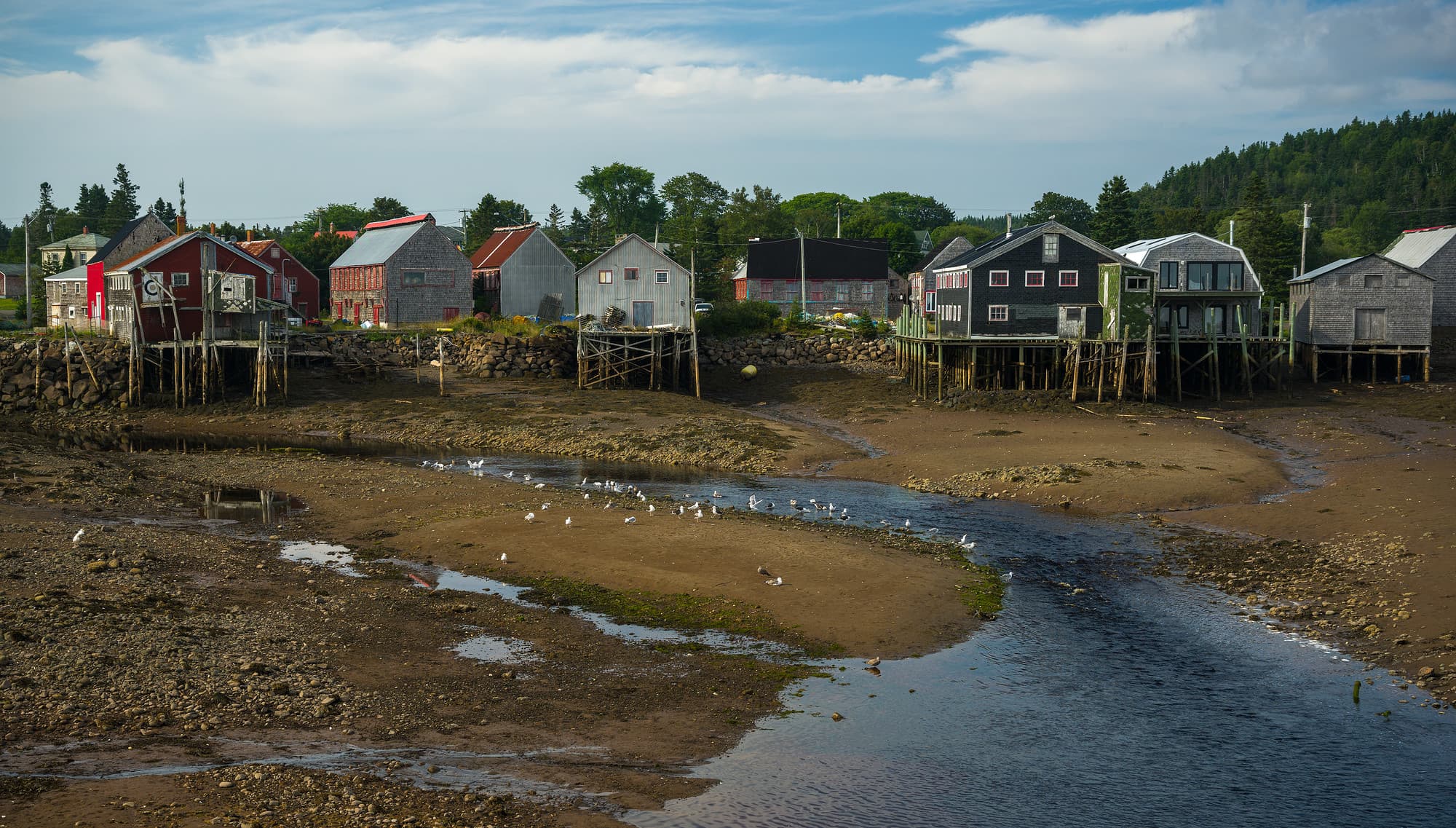 Low Tide at Seal Cove