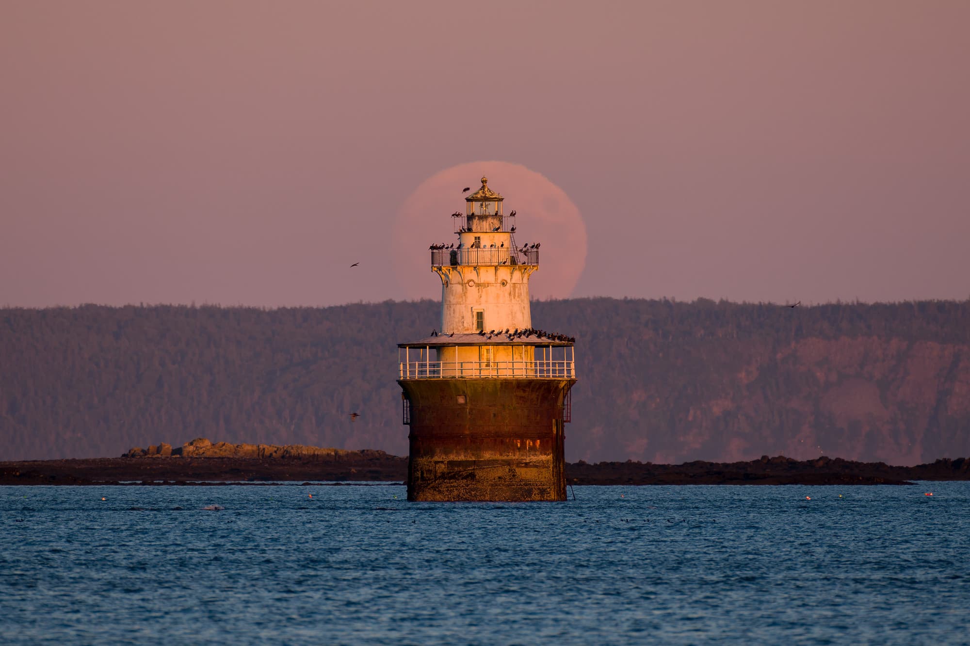 Spark Plug Moonrise with Golden Light