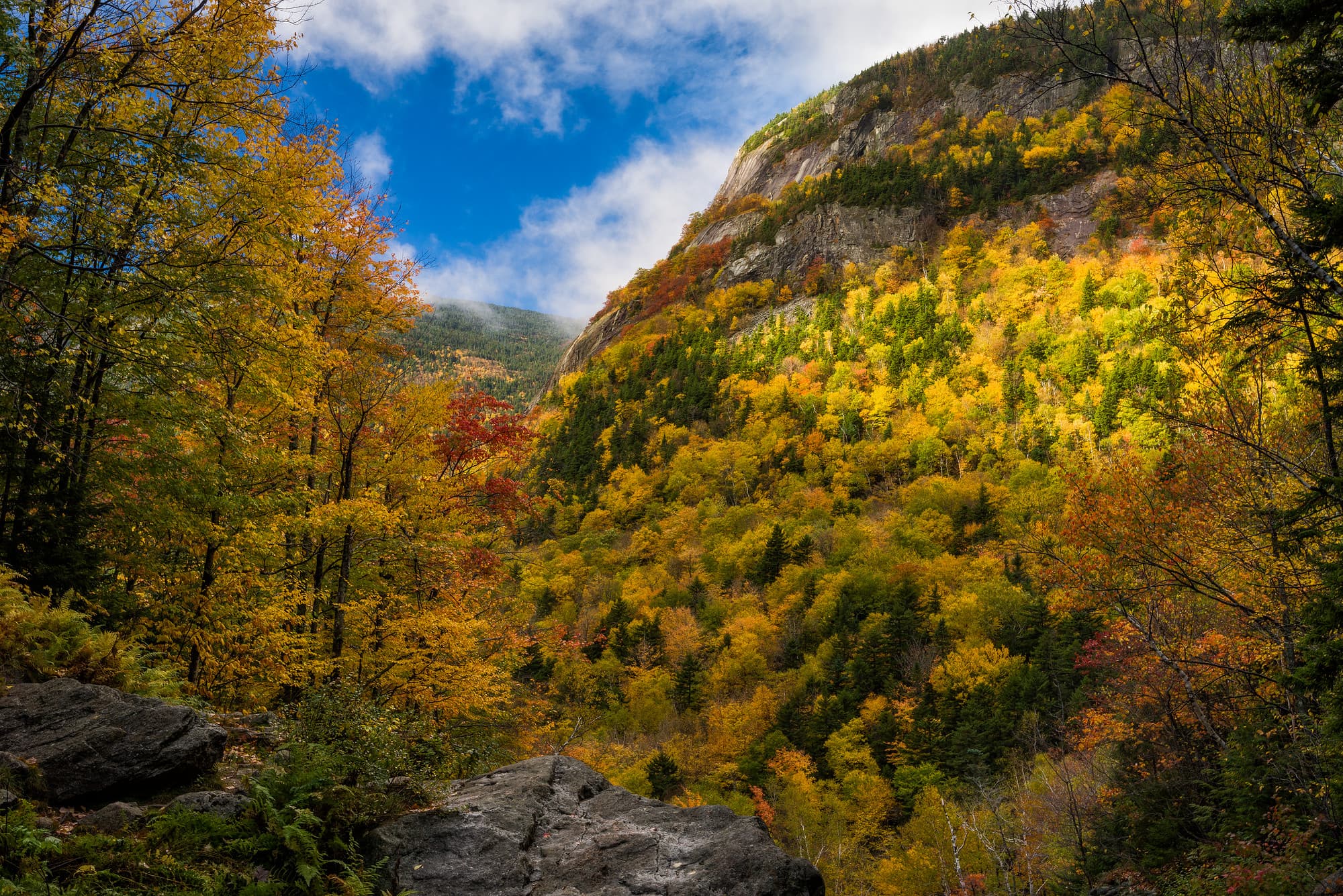 Mt. Willard