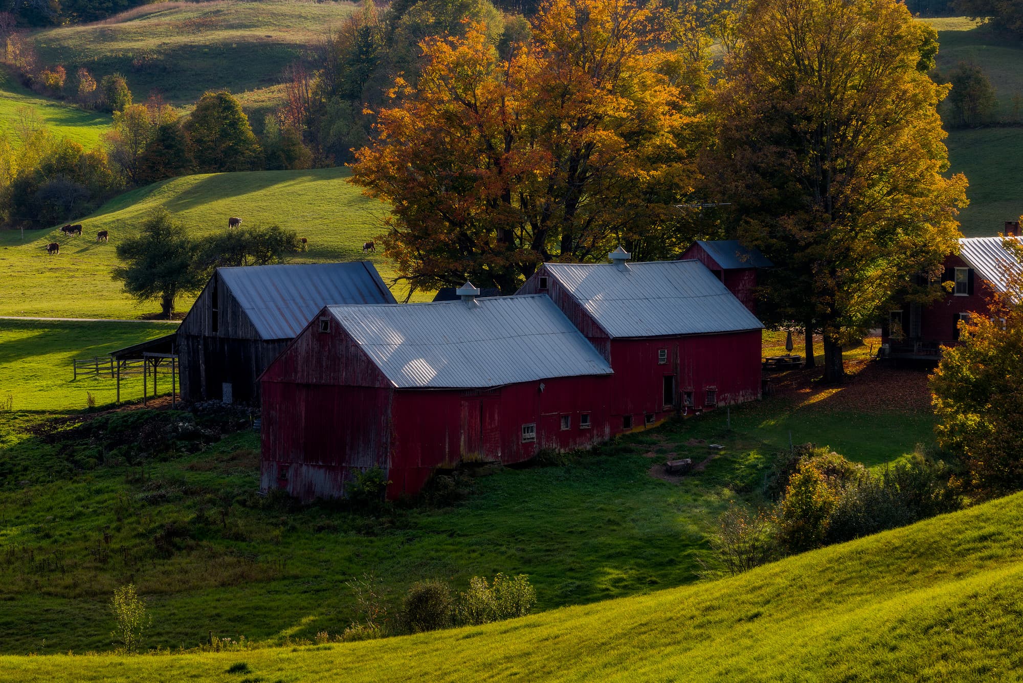 Jenne Farm