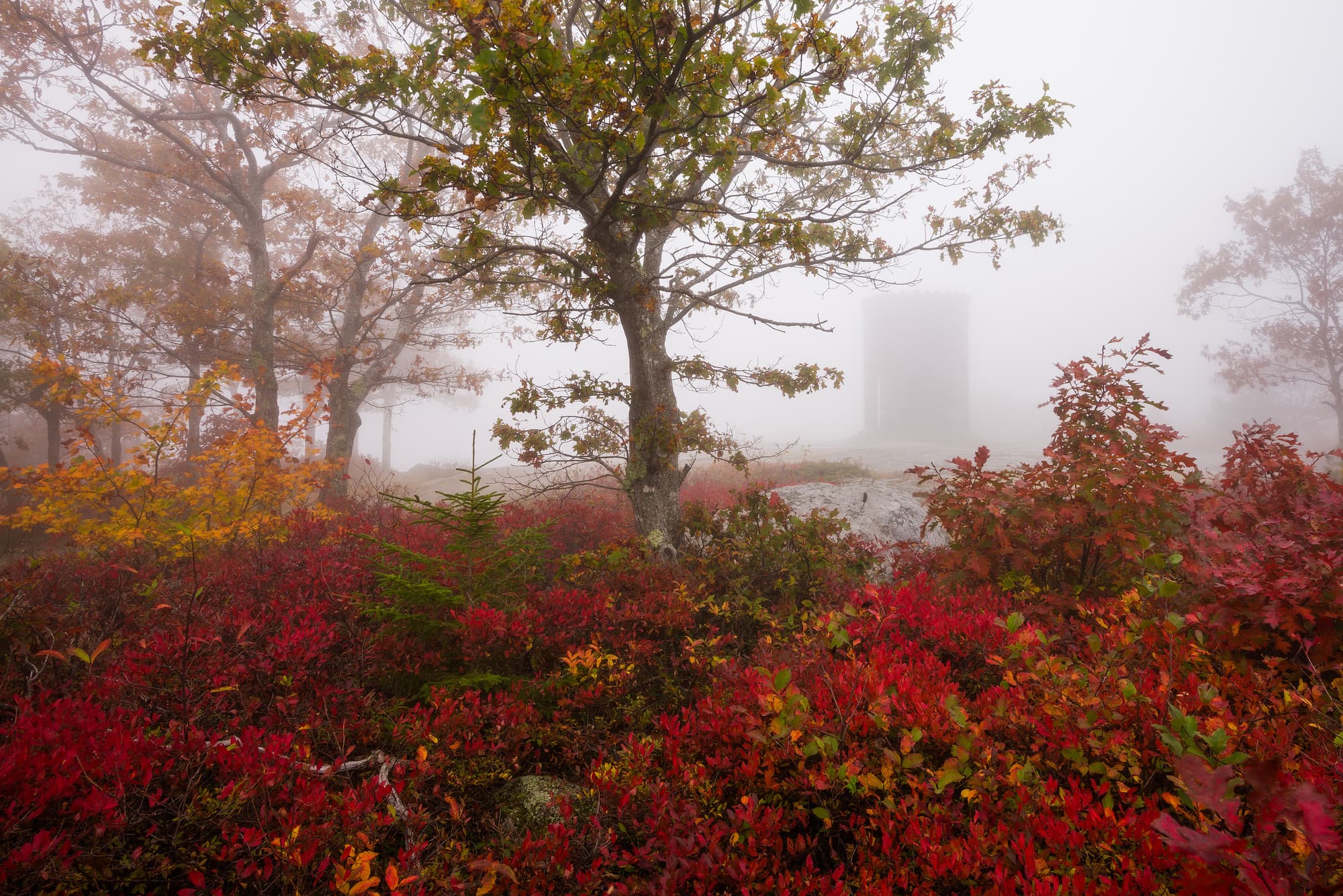 Mt. Battie Tower in the Fog