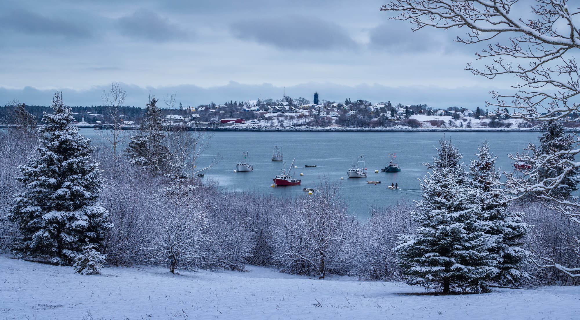 Winter View of Lubec