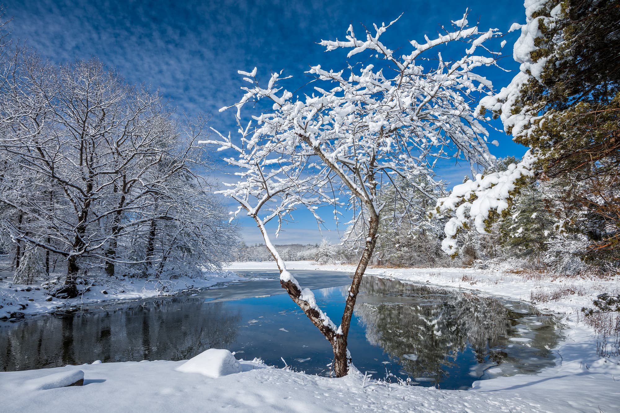 Winter Morning