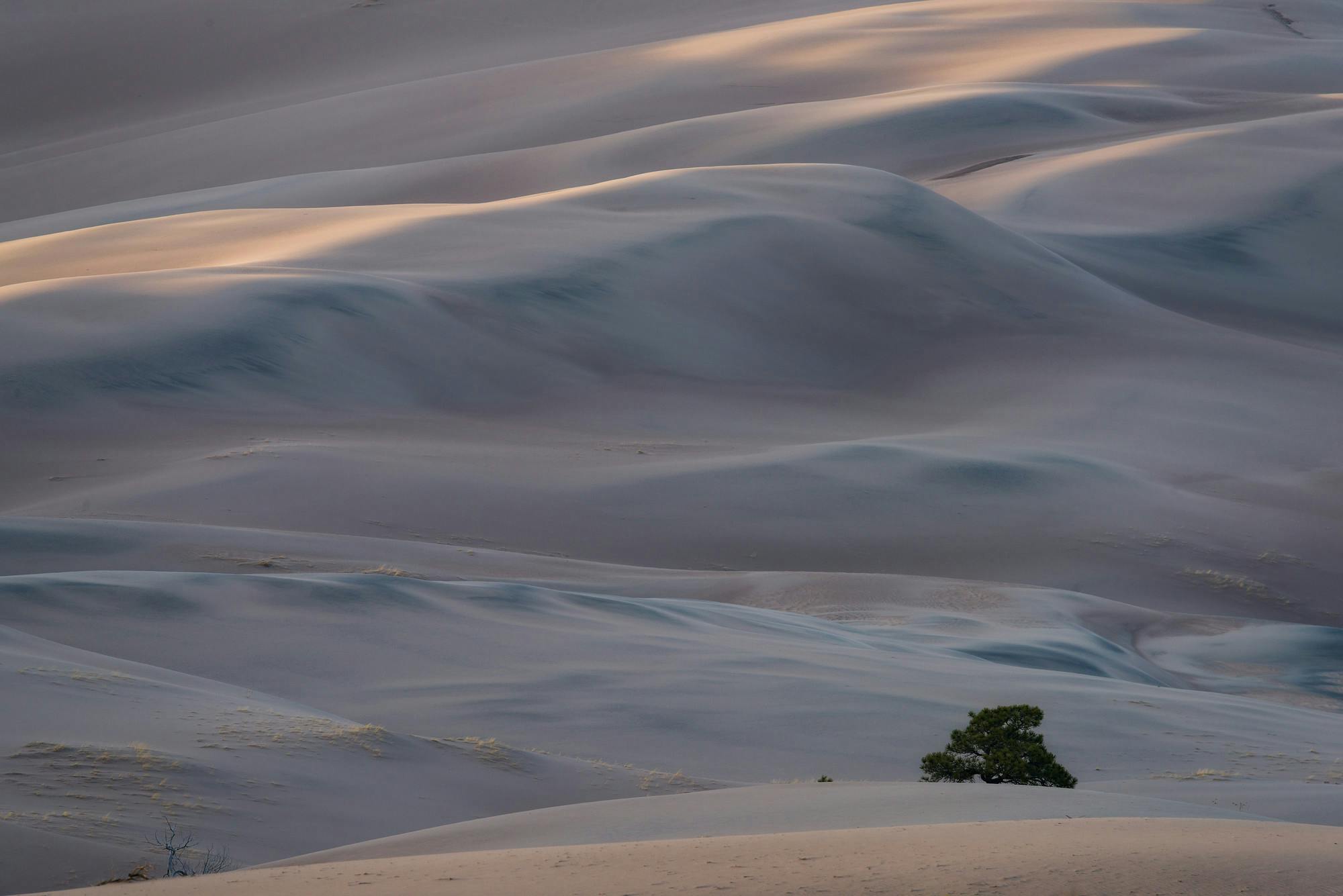 Evening at Great Sand Dunes
