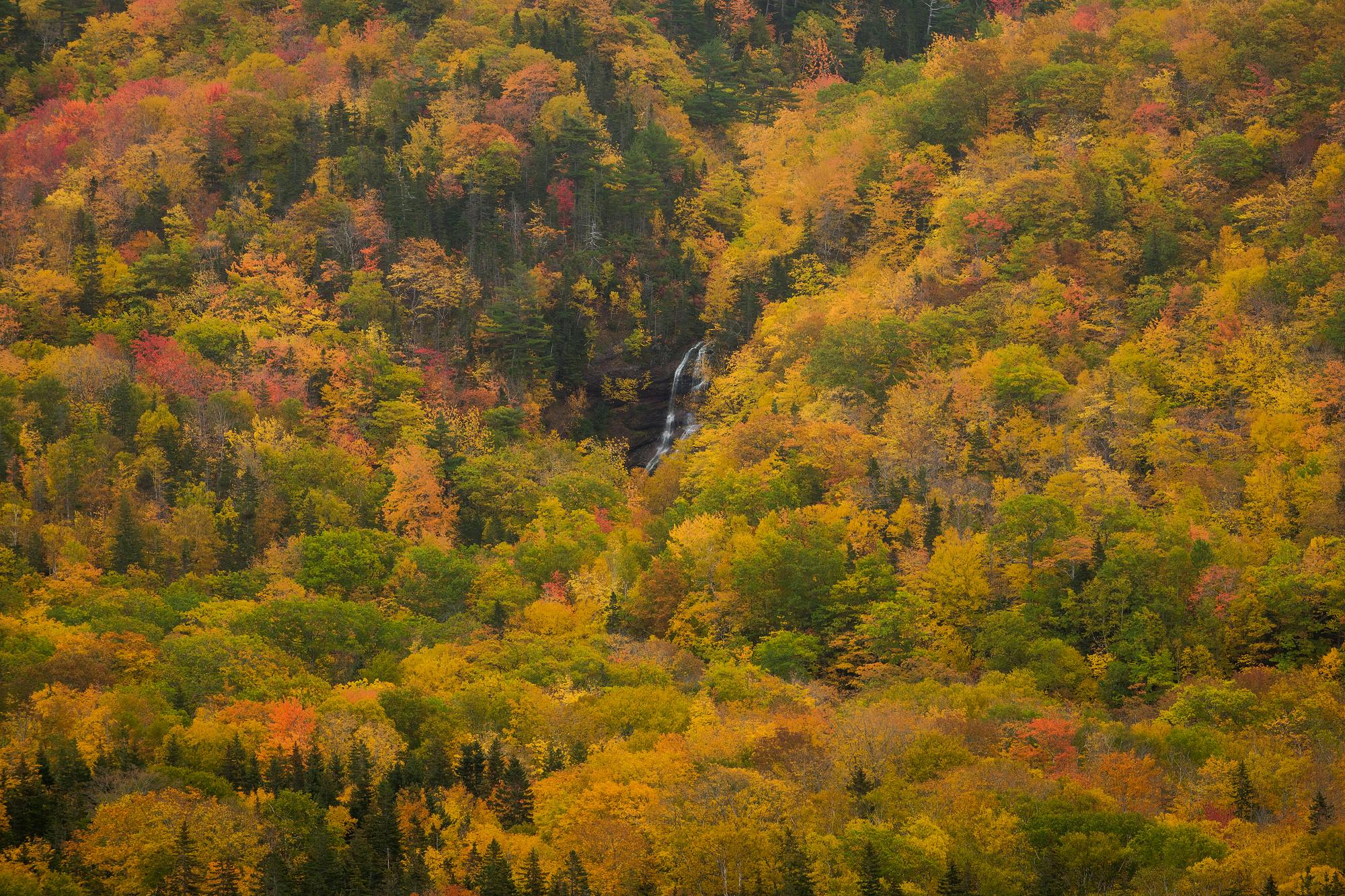 Fall Colors Surrounding a Waterfall