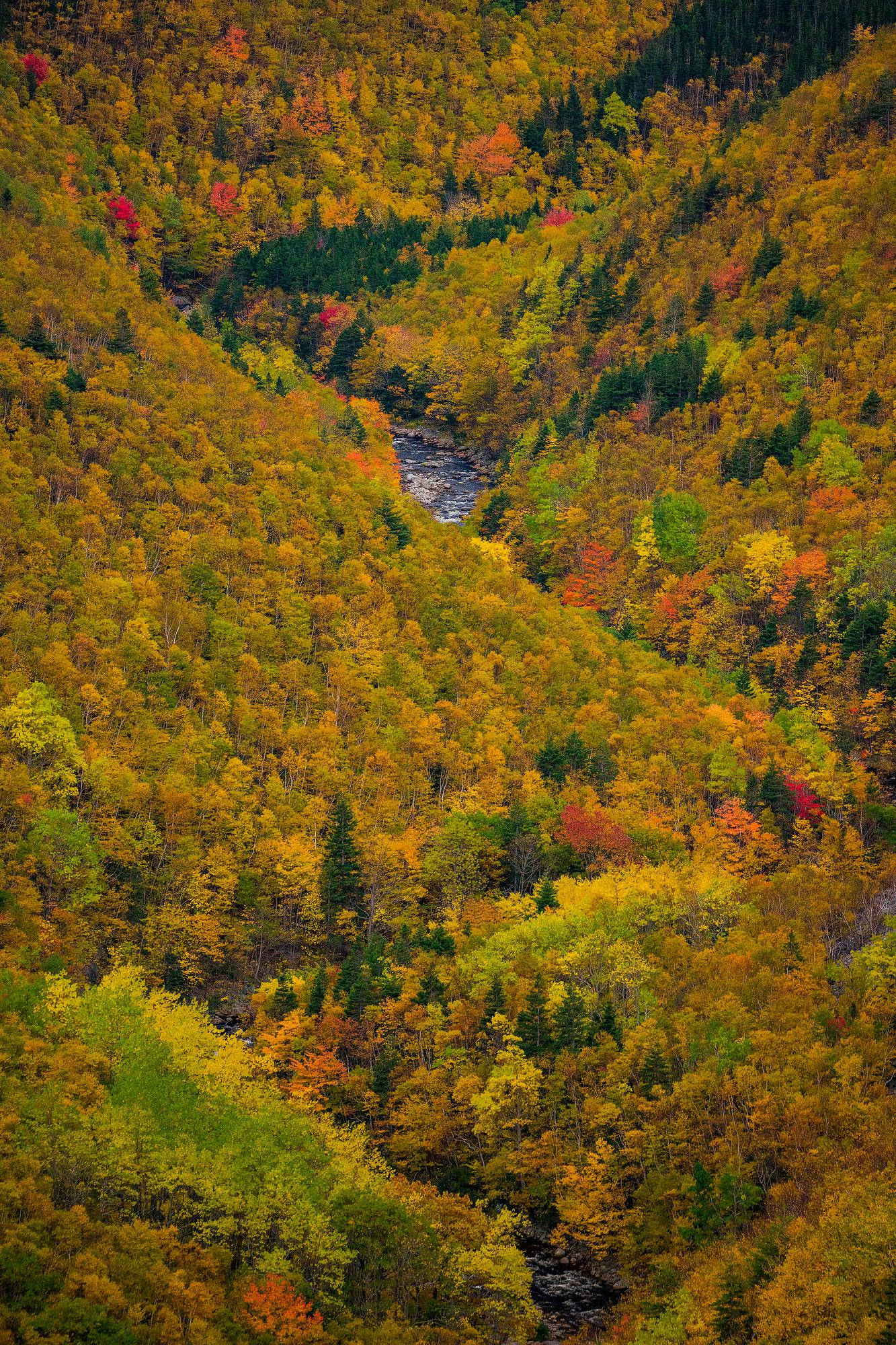 Fall in the Mackenzie River Valley