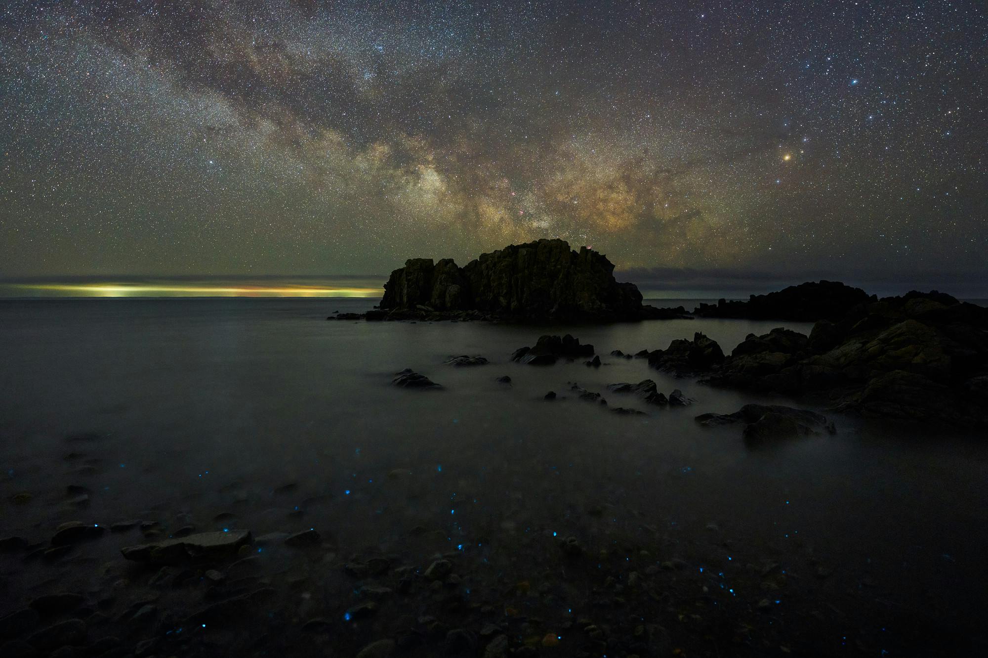 Moose Cove Milky Way and Bioluminescence