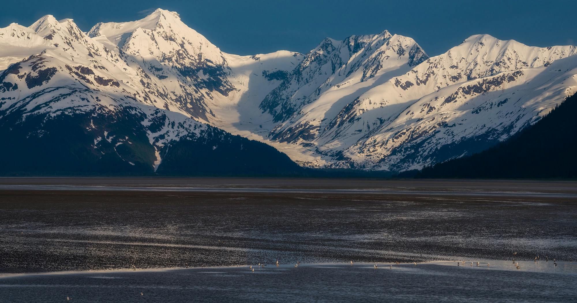 Low Tide on the Turnagain Arm