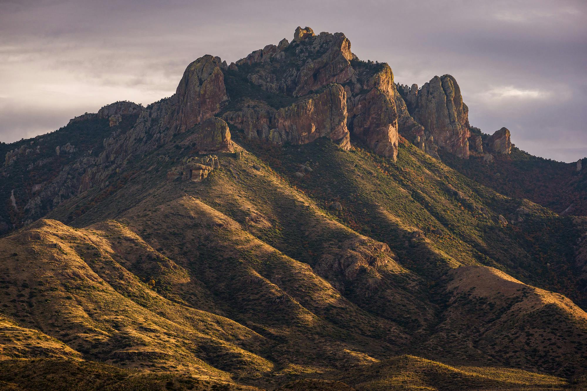 Evening Light on the Chisos Mountains