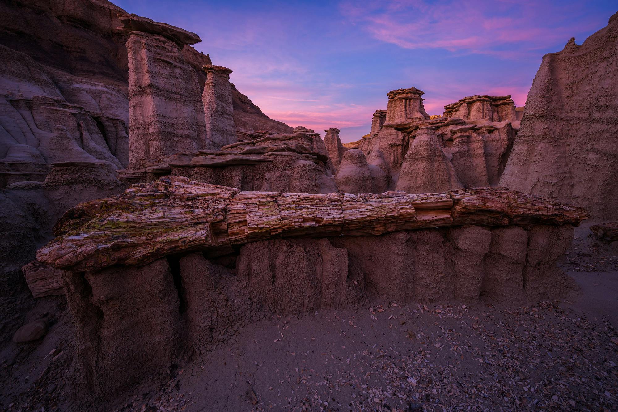 Petrified Tree and Hoodoos at Sunset in Bisti