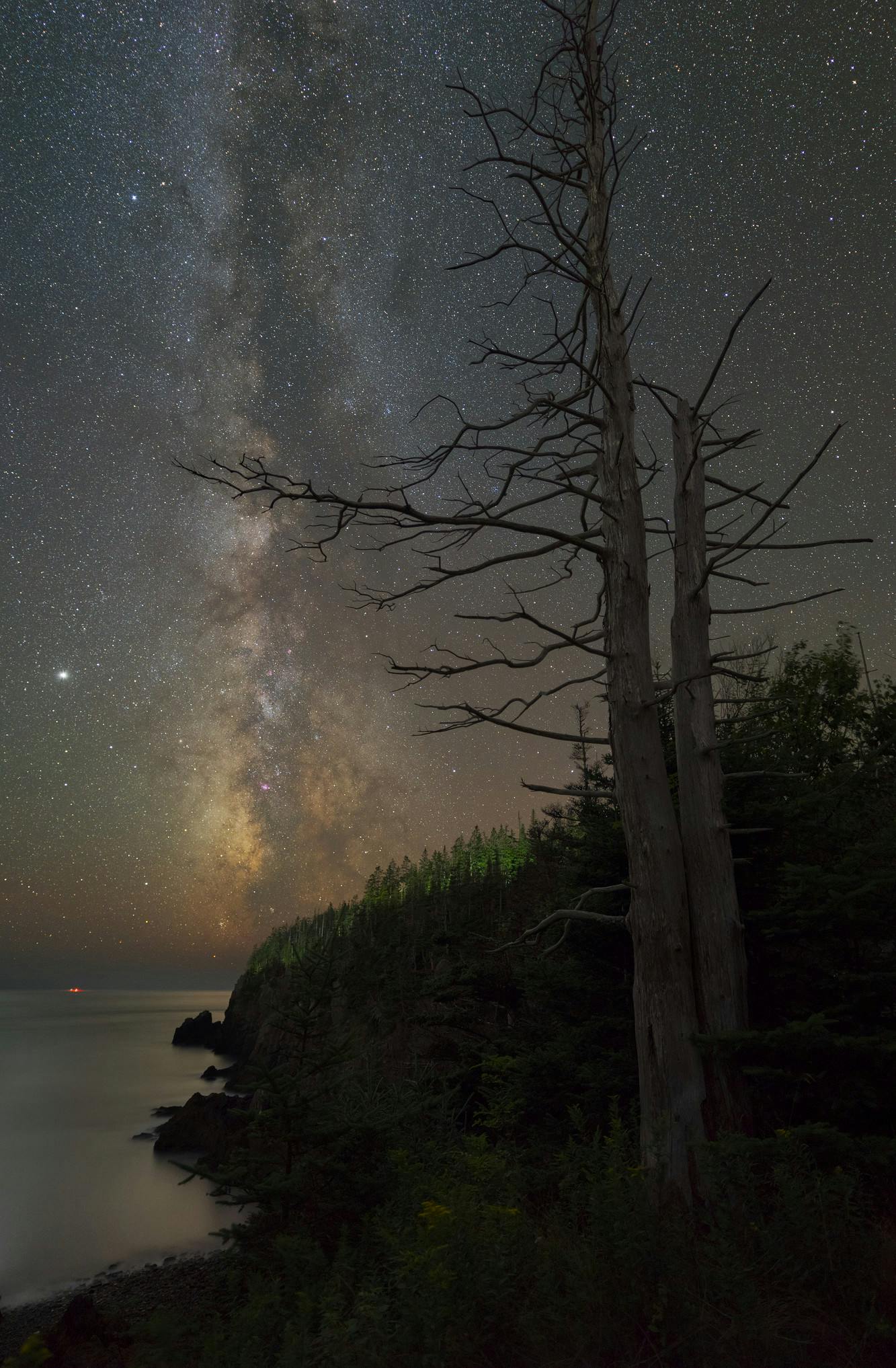 Milky Way and Dead Tree At Gulliver's Hole