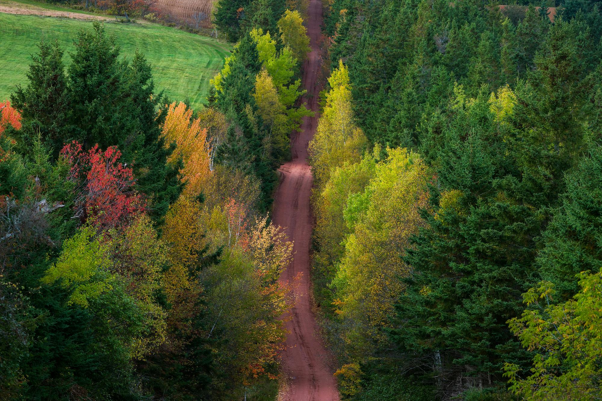 Fall Heritage Road